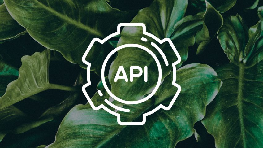 API