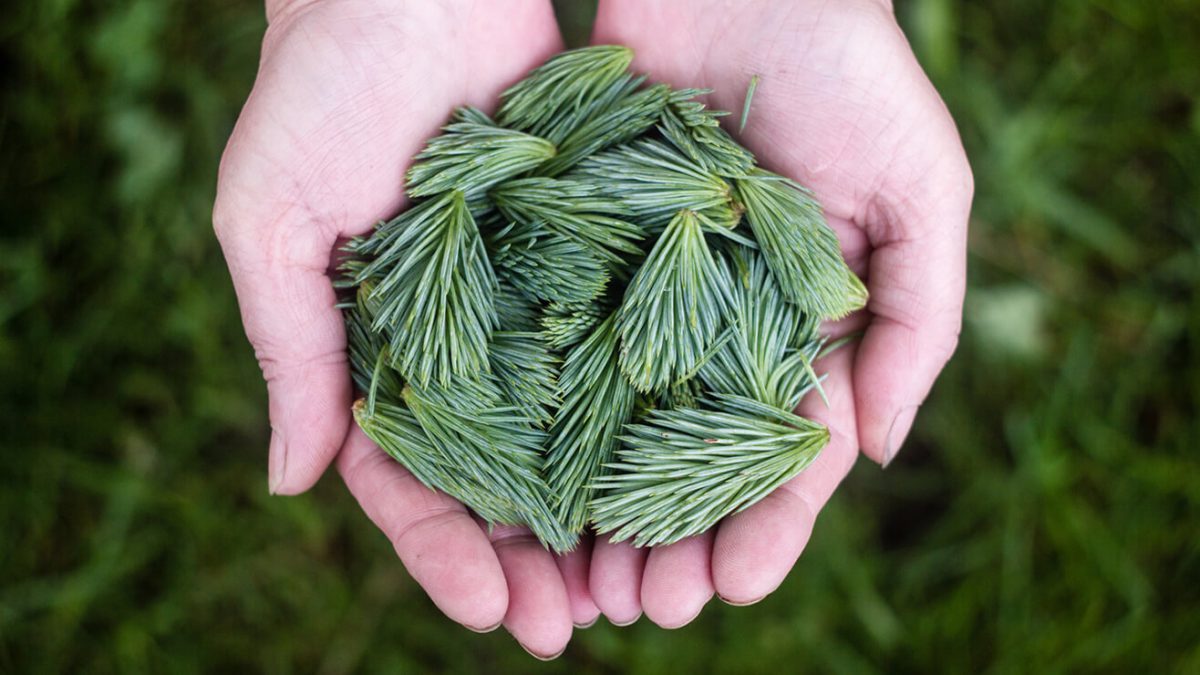 14 Kinds of Evergreen Video Content You Should Make Today