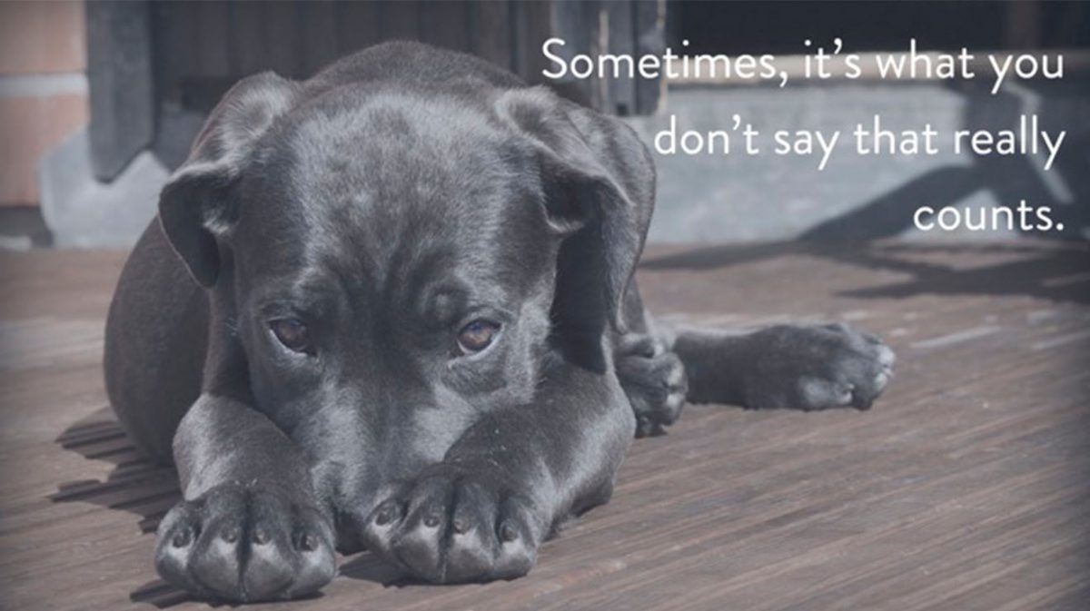 What Not to Say in Your Marketing Video